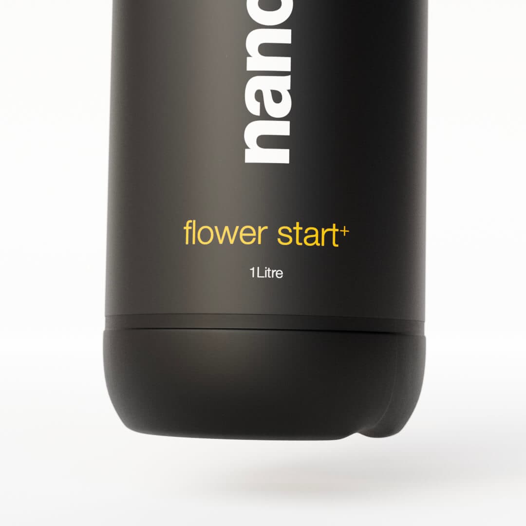 flower start+ name